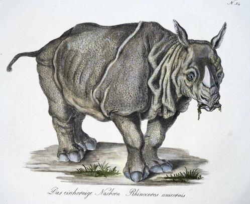 Carl Joseph Brodtmann (b. 1787) - Large format (46cm) -, Antiek en Kunst, Antiek | Boeken en Manuscripten