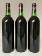 1976 Château de La Rivière, Fronsac - Bordeaux - 3 Flessen, Verzamelen, Nieuw
