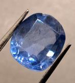 1 pcs  Blauw Saffier  - 2.67 ct - Masterstones, Nieuw