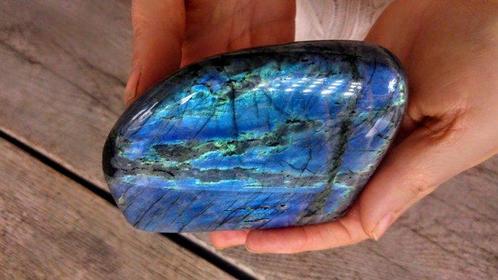 Rare Rainbow couleur Caméléon Turquoise + Opale + Or, Verzamelen, Dierenverzamelingen