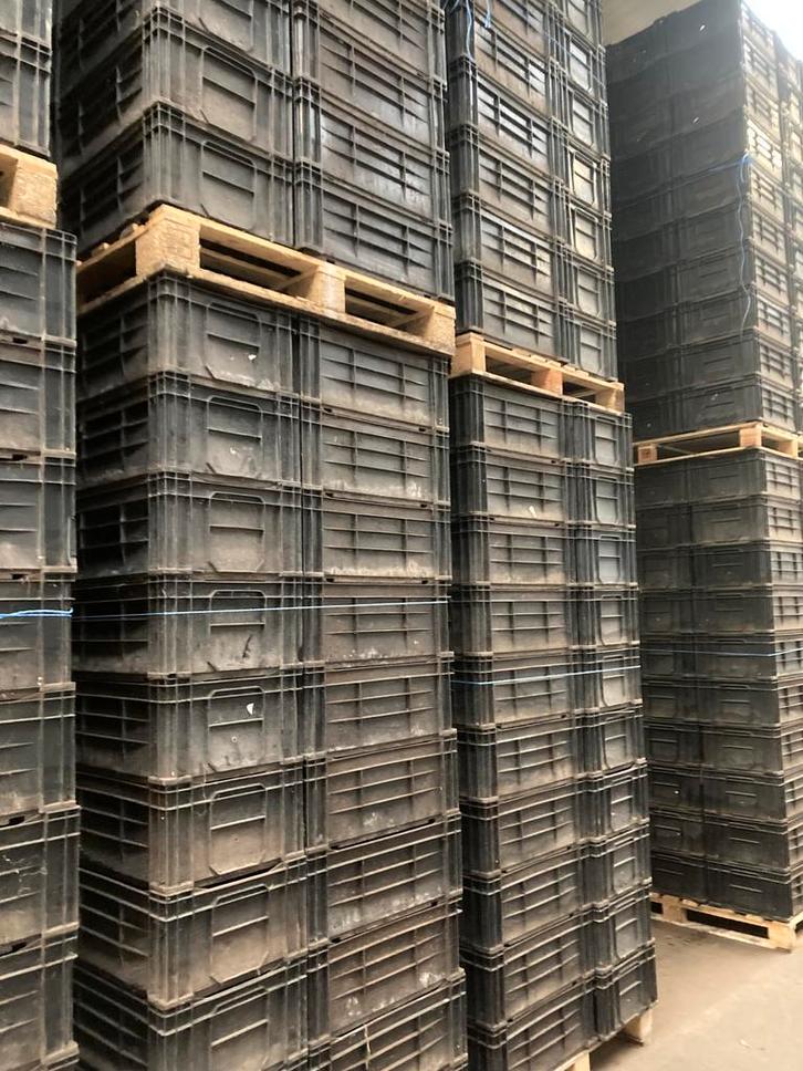 bollenkrat kisten teeltkrat partij plastic bakken 60x40x24, Doe-het-zelf en Bouw, Kratten en Dozen, 50 tot 75 cm, Gebruikt, Krat