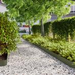 vidaXL Gazonranden 50 st 15x103 cm koudgewalst staal, Tuin en Terras, Bielzen en Borduren, Verzenden, Nieuw