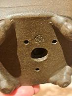 Jeneverbes bonsai (Juniperus) - Hoogte (boom): 12 cm -