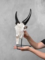 PRIX SANS RÉSERVE - Crâne de chèvre blanc authentique, Antiek en Kunst