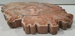 Versteend hout - Gefossiliseerd hout - Dipterocarpus sp. - 3
