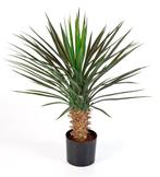 Kunstplant Yucca Plastic 80 cm, Verzenden