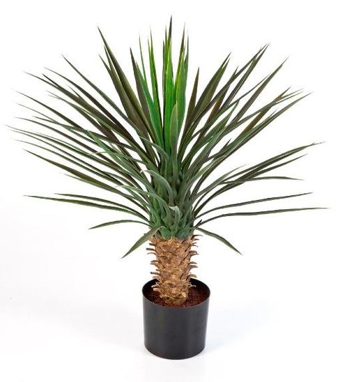 Kunstplant Yucca Plastic 80 cm, Maison & Meubles, Plantes d'intérieur, Envoi