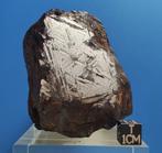 ALETAI-meteoriet - IJzer IIIE-jaar - Hoogte: 88 mm -
