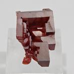 Skeletkristal vanadinite bloedrood, zeldzaam Kristallen op, Verzamelen, Mineralen en Fossielen