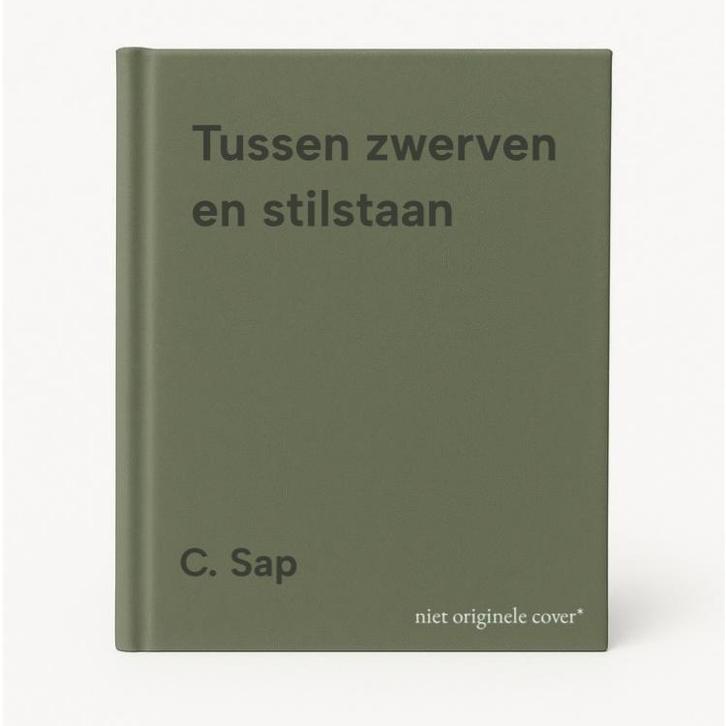Tussen zwerven en stilstaan 9789044114911 C. Sap, Livres, Livres Autre, Envoi