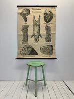 Lesmateriaal - Werner and Winter Frankfurt - Hout, Papier,