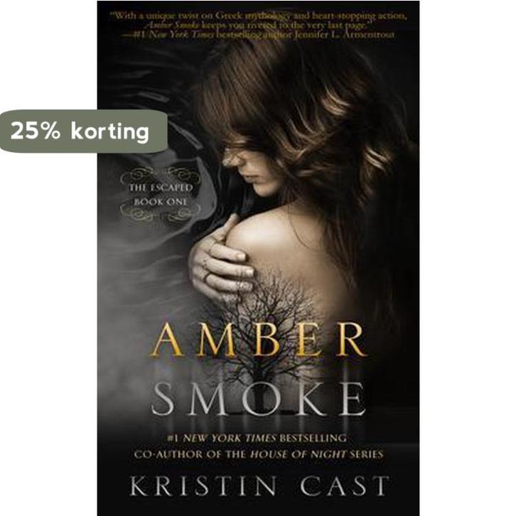 Amber Smoke 9781626815537 Kristin Cast, Livres, Langue | Anglais, Envoi