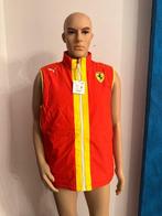 Ferrari - GT-competitie - SFP Gilet - 2024 - Teamkleding, Nieuw