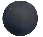 Leitz Ergo Actieve Zitbal - Anti-rol design - 75cm -, Sport en Fitness, Overige Sport en Fitness, Verzenden, Nieuw