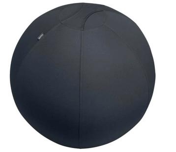Leitz Ergo Actieve Zitbal - Anti-rol design - 75cm - beschikbaar voor biedingen