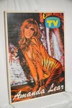 TV Sorrisi e Canzoni - Quadro con Poster Amanda Lear - Jaren, Antiek en Kunst, Kunst | Tekeningen en Fotografie