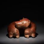 Colima, West-Mexico Terracotta Hondfiguur 100 – 250 n.Chr., Verzamelen