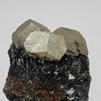 Pyrite dorée pentagonal-dodécaédrique avec hématite, Collections