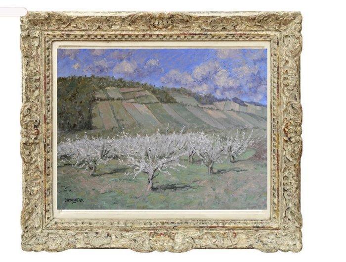 Chris van Dijk (1952) Impressionist - Verger en Bourgogne, Antiek en Kunst, Kunst | Schilderijen | Klassiek