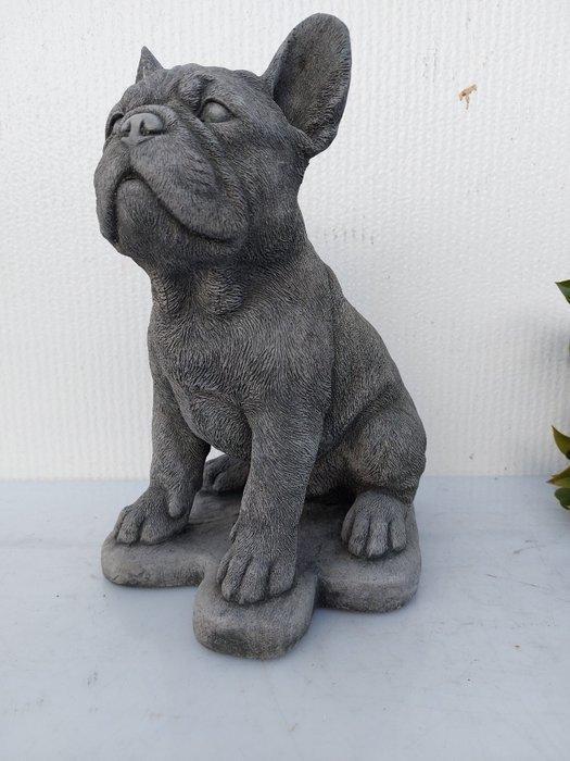 Beeld, groot beeld met pub Franse buldog - 29 cm - cast, Antiek en Kunst, Kunst | Designobjecten