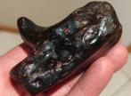 566 ct - Opale noire brute naturelle - Fossile de bois -