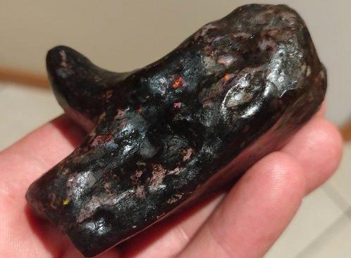 566 ct - Opale noire brute naturelle - Fossile de bois -, Verzamelen, Mineralen en Fossielen