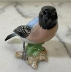 Carl Thieme Saxon Porcelain Dresden Porcelain, (XX), Altezza