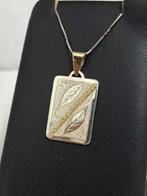 Zonder Minimumprijs - Halsketting - 9 kt. Geel goud, Zilver, Nieuw