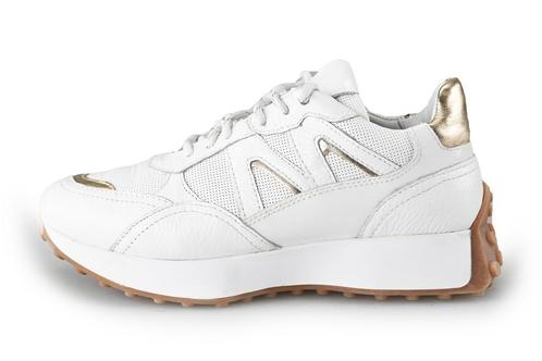 Nelson Sneakers in maat 37 Wit | 5% extra korting, Kleding | Dames, Schoenen, Wit, Gedragen, Sneakers, Verzenden