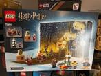 Lego Set - 75964 - Advent calendar, Harry Potter - Harry, Nieuw