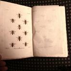 Maurice Girard - Les Abeilles / Catalogue dApiculture /