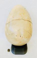 Septaria Gepolijste - Hoogte: 21 cm - Breedte: 14 cm- 3955 g, Verzamelen, Mineralen en Fossielen