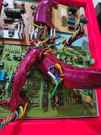 Montanaro - Banana Bot