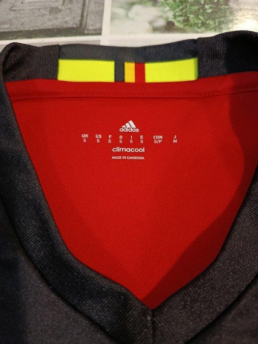 Belgio - Voetbal Europees kampioenschap - 2016 -, Verzamelen, Overige Verzamelen