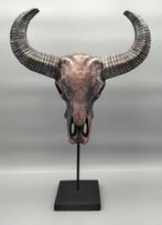 Buffel Schedel op een standaard - Grote dierenschedel - 56