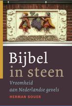 BIJBEL IN STEEN 9789089120083 H. Souer, Verzenden, Zo goed als nieuw, H. Souer