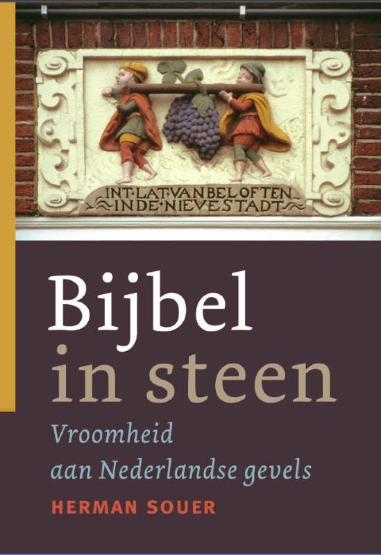 BIJBEL IN STEEN 9789089120083 H. Souer, Boeken, Godsdienst en Theologie, Zo goed als nieuw, Verzenden