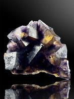 Fluorine Collection de cristaux - Hauteur : 8 cm - Largeur :, Collections