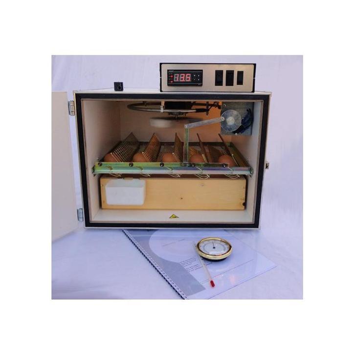 MS Broedmachines | Snel geleverd BE | Scherpe prijs, Animaux & Accessoires, Volatiles | Accessoires, Envoi