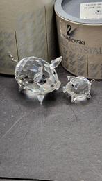Swarovski - boxed en certificated - Varken middel 010031 -