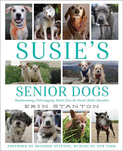 Susies Senior Dogs 9781501122477, Livres, Livres Autre, Envoi