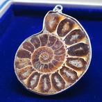 Gelamineerd zilver. - Hanger - Ammoniet fossiel.