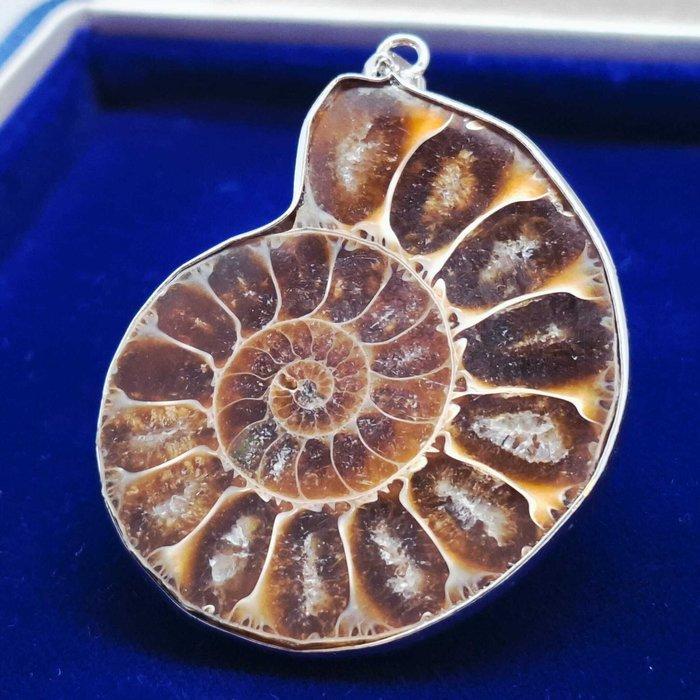 Gelamineerd zilver. - Hanger - Ammoniet fossiel., Verzamelen, Mineralen en Fossielen