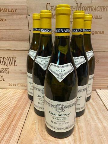 2023 Régnard Bourgogne Chardonnay - Bourgogne - 6 Flessen