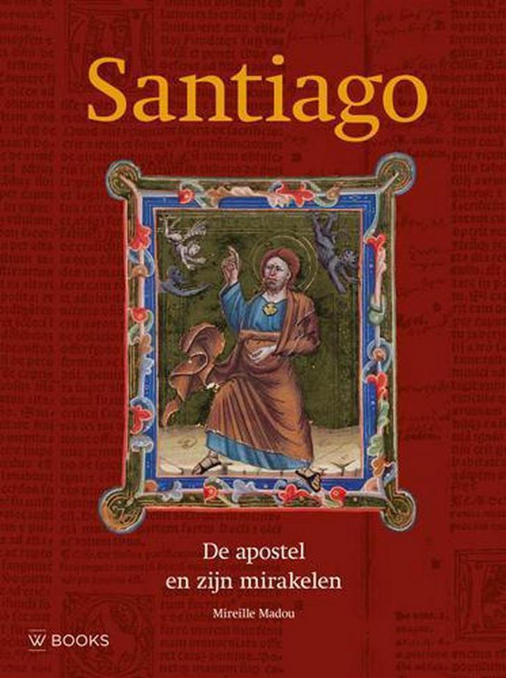 Santiago 9789462580329 Mireille Madou, Boeken, Reisgidsen, Gelezen, Verzenden