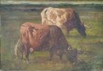 Flämische Schule (XIX) - Koeien in de wei, Antiek en Kunst
