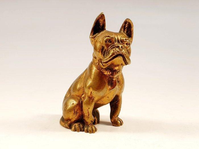 ② Bronzen beeldje - Zittende Franse bulldog hond (1) Brons Curiosa en Brocante 2dehands