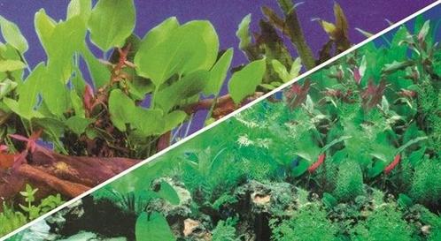 Osaka achterwand poster 50cm hoog - art. 31023, Dieren en Toebehoren, Vissen | Aquaria en Toebehoren, Nieuw, Verzenden