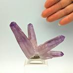 Rara AMETHISTE PAARS, Kristal 78mm, MEXICO Kristalen -