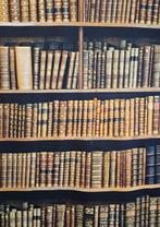 Landelijke stof met antieke houten boekenkast - 600x140cm -